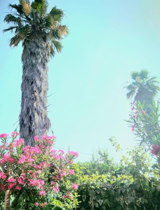 Hotel La Casetta Colorata Catania Esterno foto